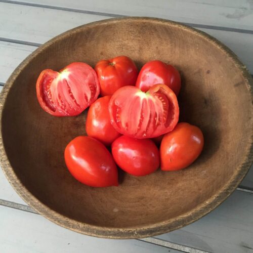 Heirloom Tomato, Pepper and Onion Varieties We are Trying This Spring